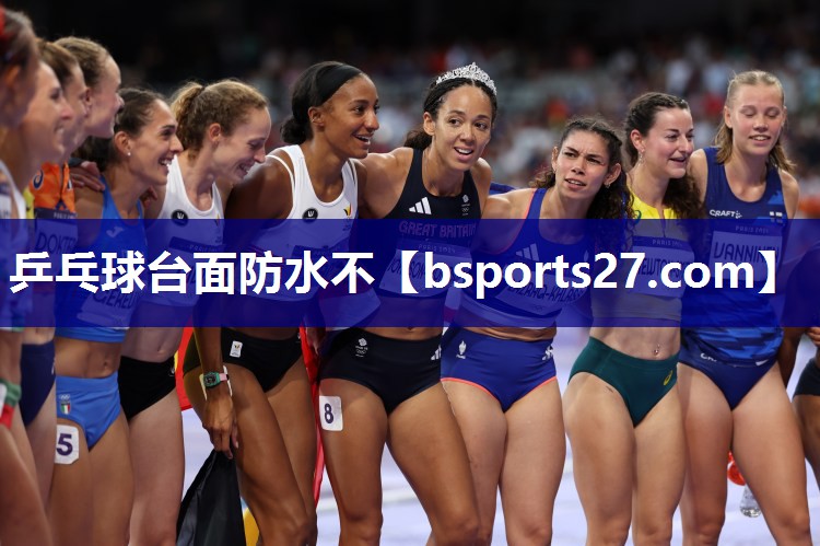 乒乓球台面防水不